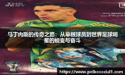 米兰体育官网