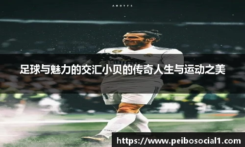 ac米兰体育
