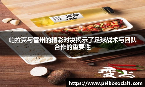 帕拉克与雪州的精彩对决揭示了足球战术与团队合作的重要性